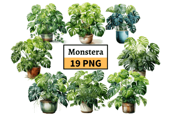 Download Potted Monstera Plant Clipart Bundle PNG - Bundle Collection