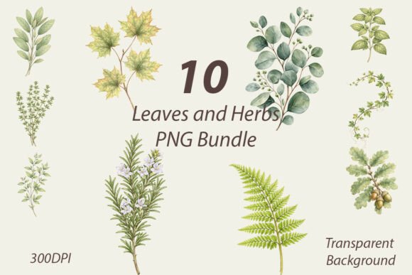 Download Leaves and Herbs PNG Bundle - Bundle Collection